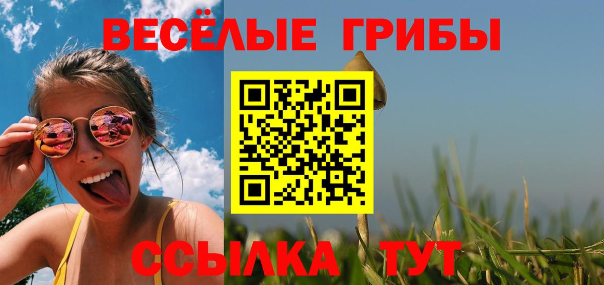 цены наркотик  Вход с VPN  Галлюциногенные грибы мицелий  Воронеж  Галлюциногенные грибы Psilocybe 